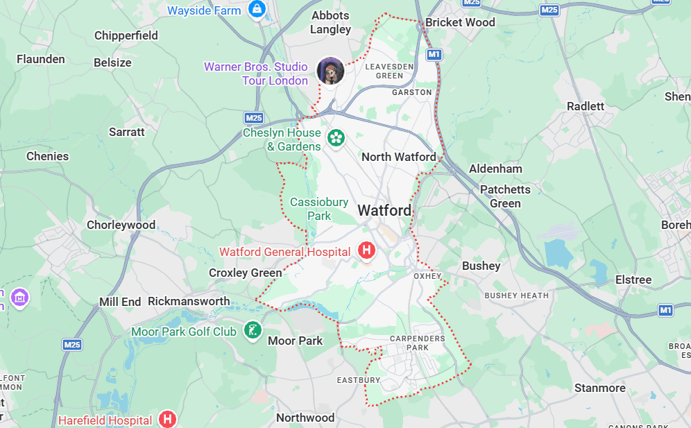 Looking for a Tree Surgeon in Watford?